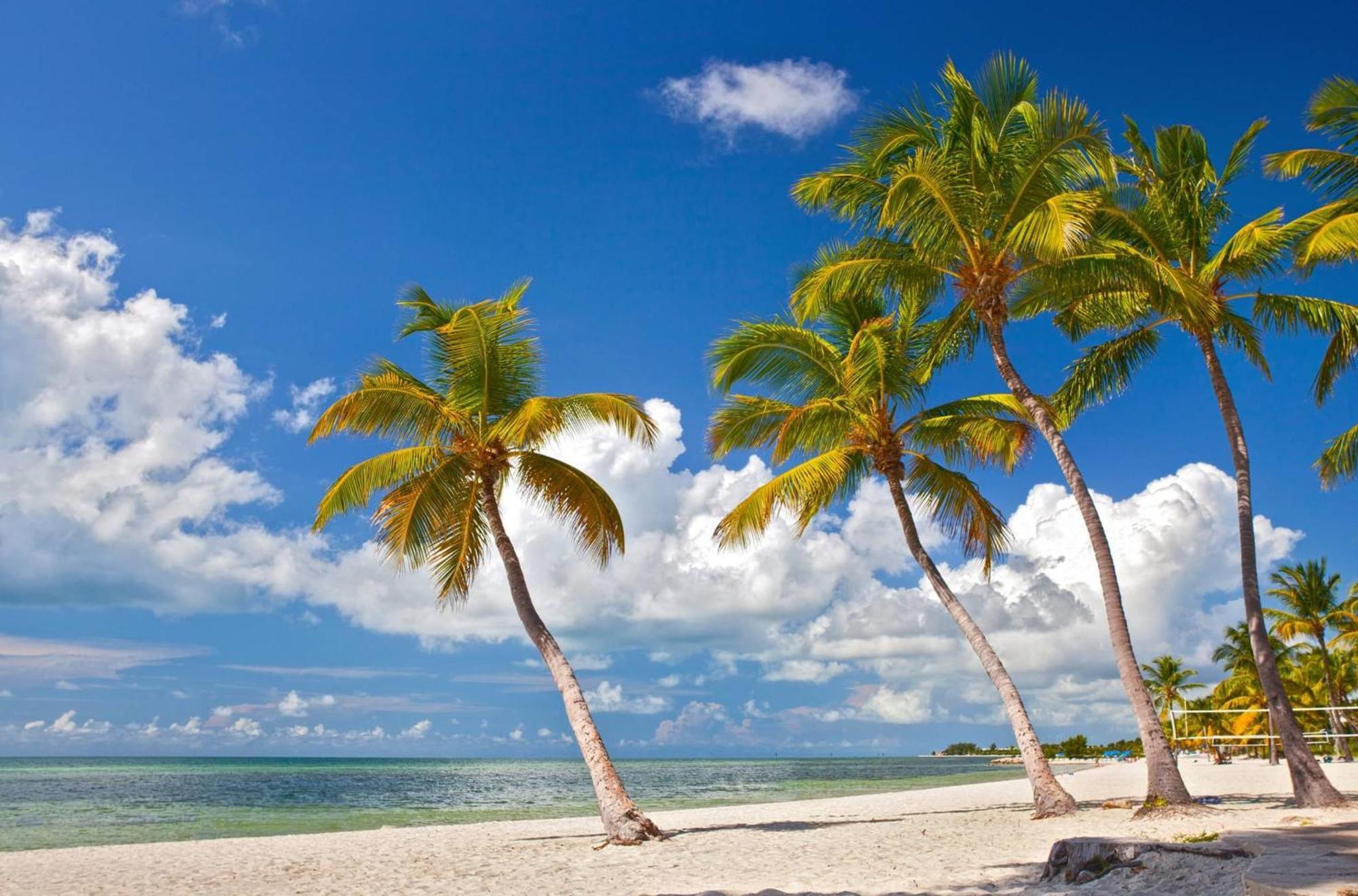 Casa Grande By Avantstay Dt Key West Near South Beach W Pool Εξωτερικό φωτογραφία